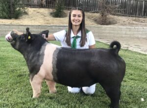 Jaclyn Bullard showing off pig for Mid-State fair livestock auction