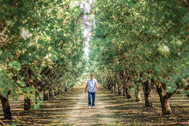 Man walking through an orchard
