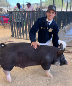 Benjamin MacConnel of Templeton FFA with his pig at 2023 California Mid-State Fair. 