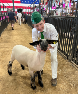 Nathan Shalk of Cerro Alto 4H with his sheep at 2023 California Mid-State Fair. Delta Liquid Energy supports local 4H and FFA youth every year.