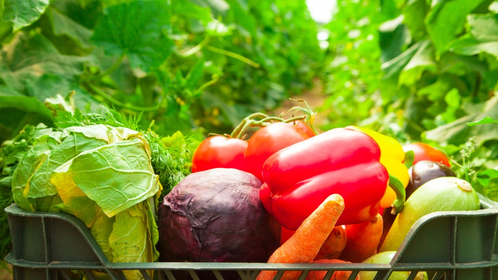Spring into Gardening: Unleash the Power of Propane on Your Garden