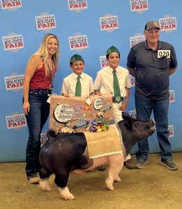 Supreme Grand Champion Market Hog at 2024 California Mid-State Fair Livestock Auction