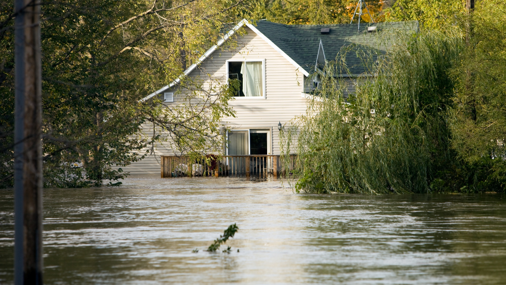 Propane Generators for Emergency Preparedness: Powering Through Unpredictable Weather