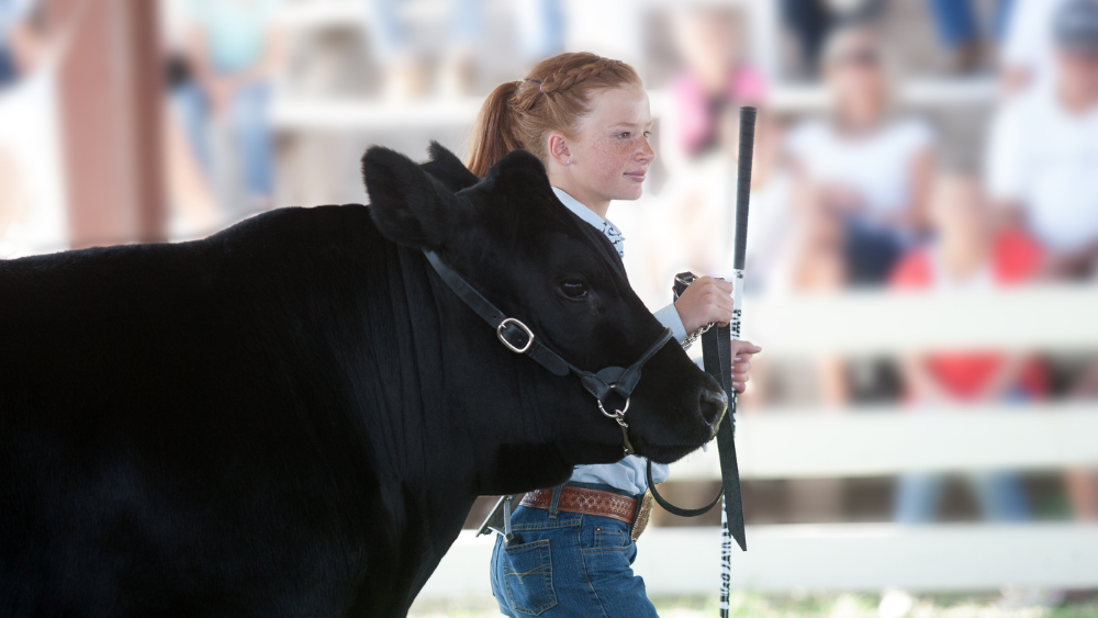 Fueling Your Future: Career Opportunities in California’s Propane Industry
